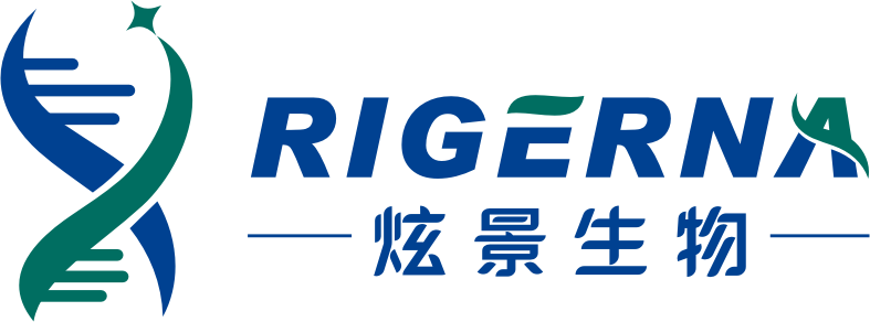 Rigerna Platform - Home